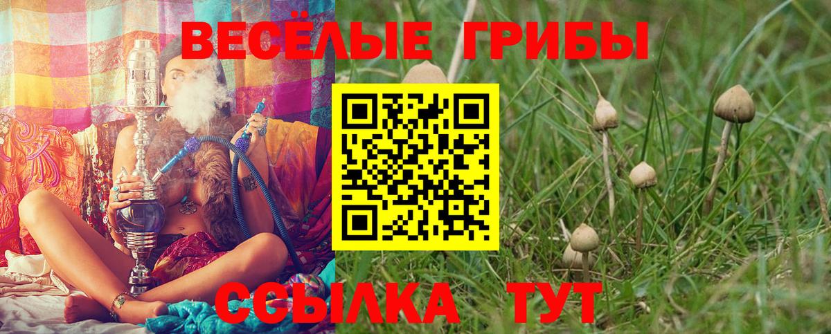 Каннабис  Вход с VPN  Владикавказ  MDMA  Мефедрон кристаллы  NBOMe  ГАШИШ  Кокаин 