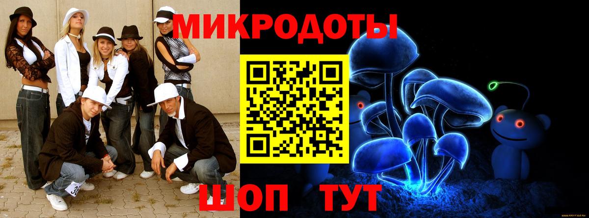Псилоцибиновые грибы GOLDEN TEACHER Владикавказ
