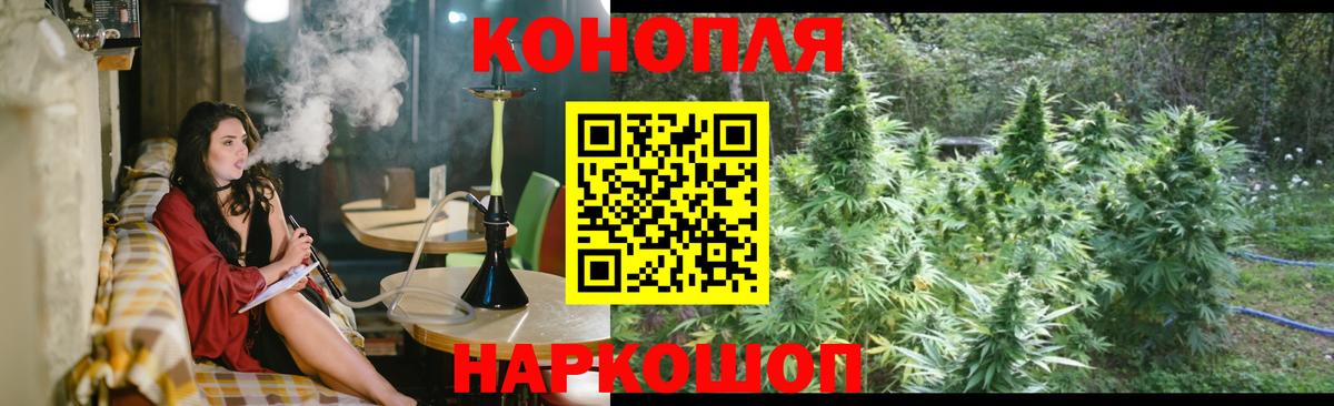 Шишки марихуана план  Каннабис OG Kush  Владикавказ  Бошки Шишки гибрид  Вход с VPN 
